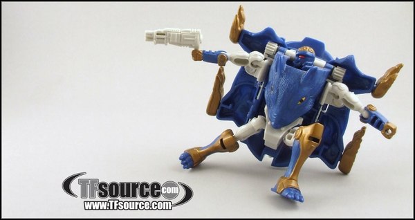 BotCon 2015 Maximal Thief Packrat Offtcial Reveal Boxed Set Figure  (4 of 8)